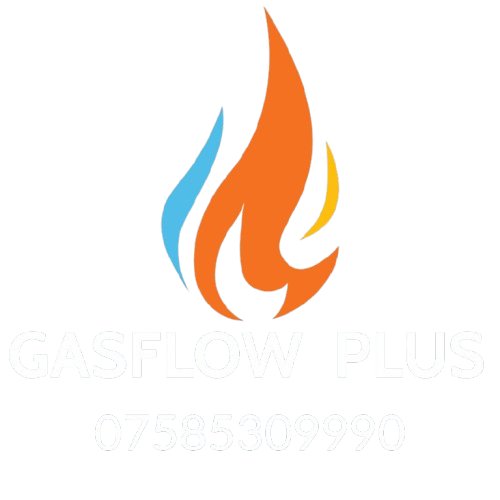 Gas Flow Plus
